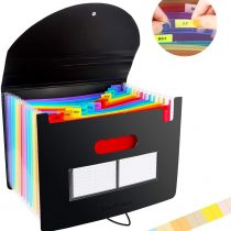 Expanding File Organisers,13 Pockets Filing Box Document Organiser, BluePower Expandable File Folder with Lid, Accordion A4 Desk Folders Expander, Portable Files Wallets Plastic Documents Storage Box