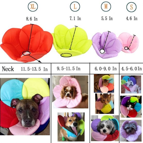 DELIFUR Dog Cone Collar Pet E-Collar Elizabethan Collars Recovery Pet Cone for Cats and Small Dogs Breathable Soft Edge and Easy to Clean(S) - Image 4