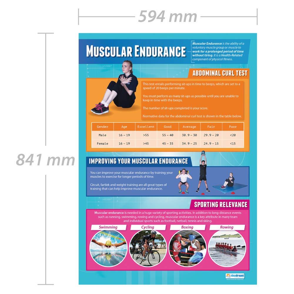 Daydream Education Muscular Endurance, 85L x 59.4W cm - Image 2