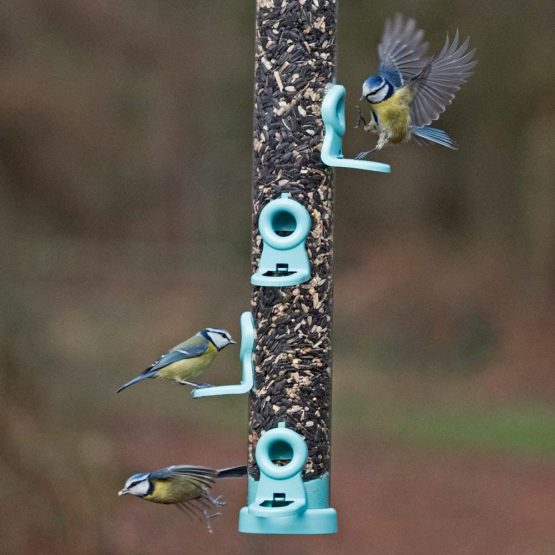Jacobi Jayne FLO-S1B Bird Feeder, Aqua, Large - Image 2