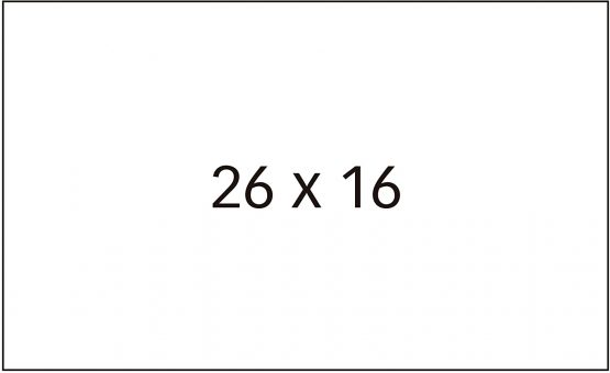 agipa Etiketten für Preisauszeichner, 26 x 16 mm, weiß