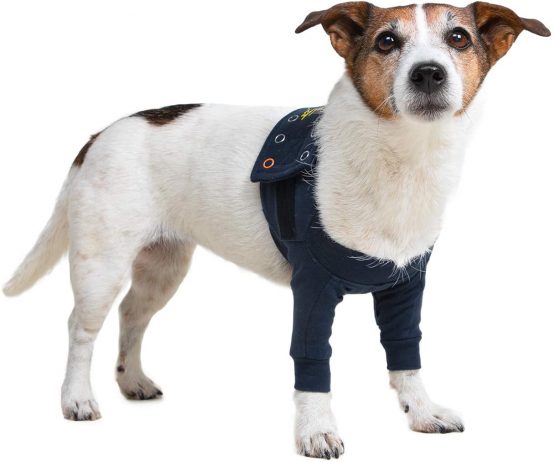 MPS Medical Pet Shirt - TAZ2, Double Front Leg Sleeve for Dog, XX-Small