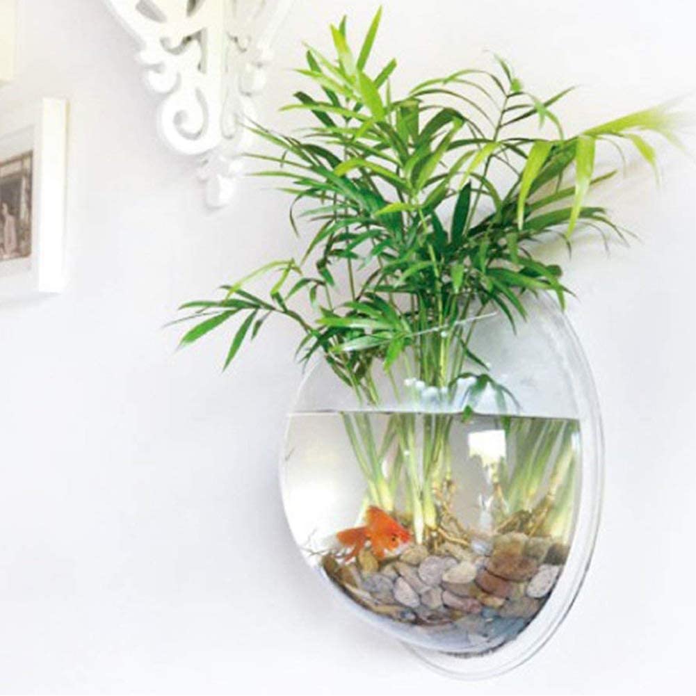 NGLUHAO 1 Gallon Clear Acrylic Hanging Wall Mounted Fish Bowl Aquaponic