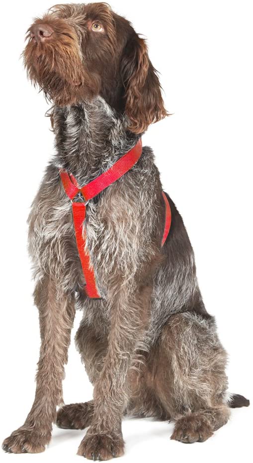 Ancol Nylon Dog Harness Red Reflective Lightweight Comfortable Adjustable Straps Chest Support Pet Puppy Walking Accessory