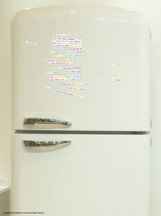 Brainbox Candy Magnetic Rude Peal Off Words - Image 3