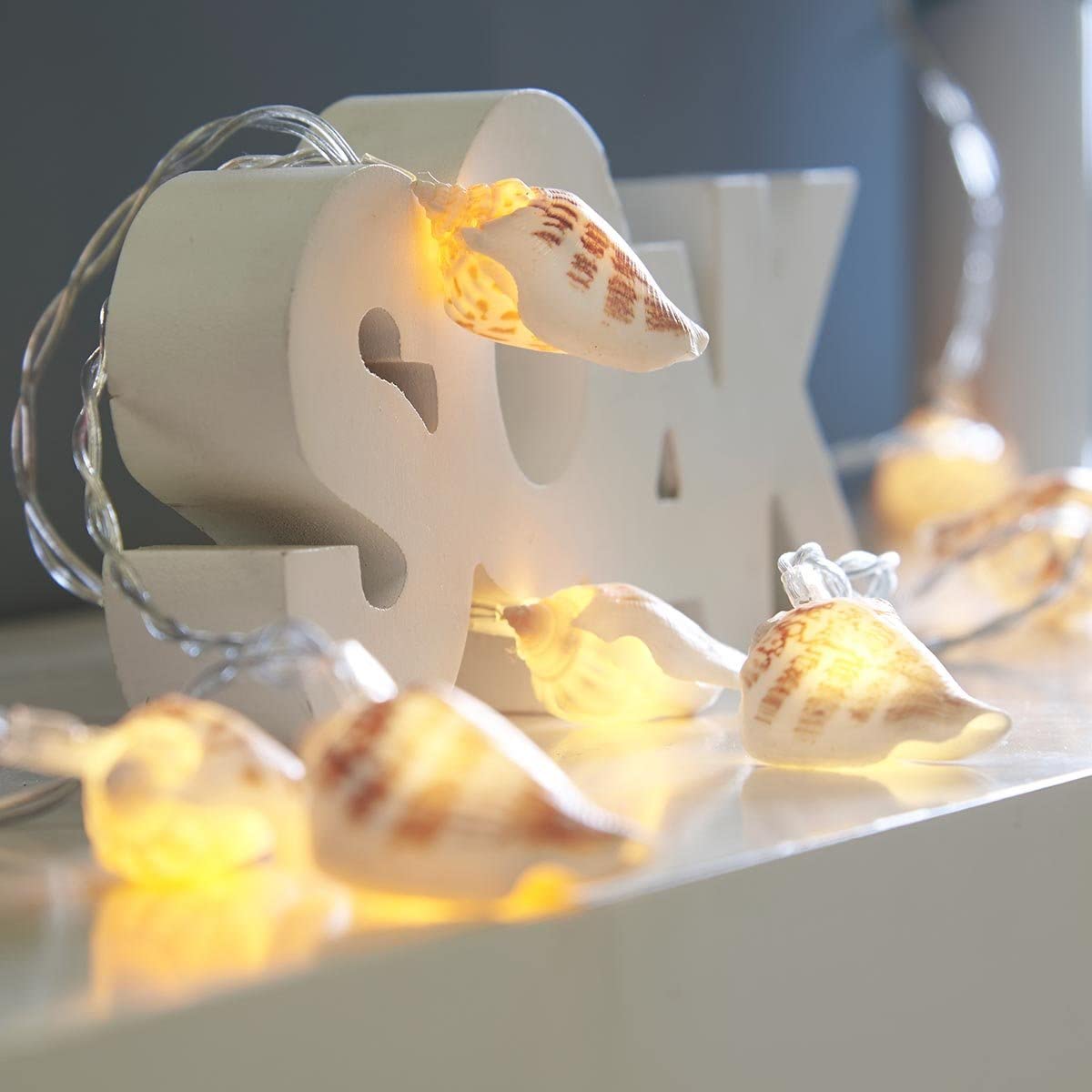 Festive Lights, 1.5m Battery Powered Real Sea Shell Fairy Lights, 10 Warm White LEDs on Discreet Clear Cable