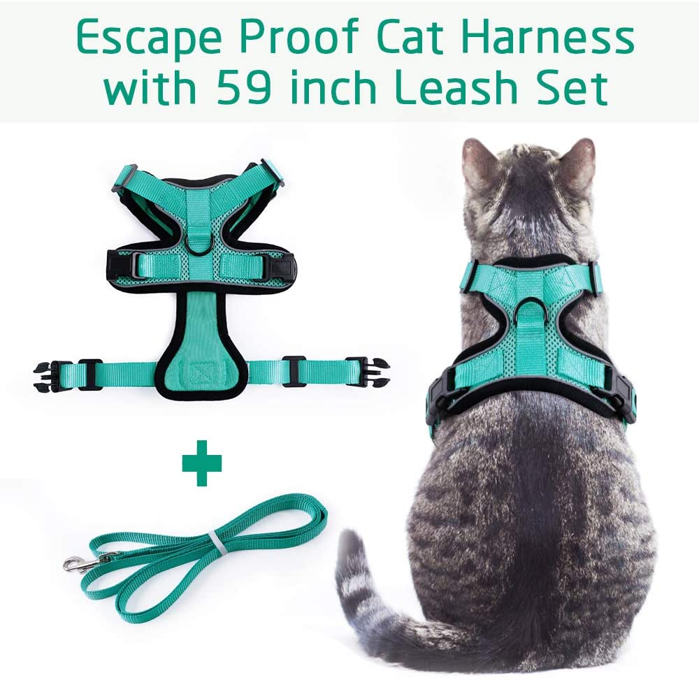 rabbitgoo Cat Harness and Leash Set for Walking Escape Proof with Leash