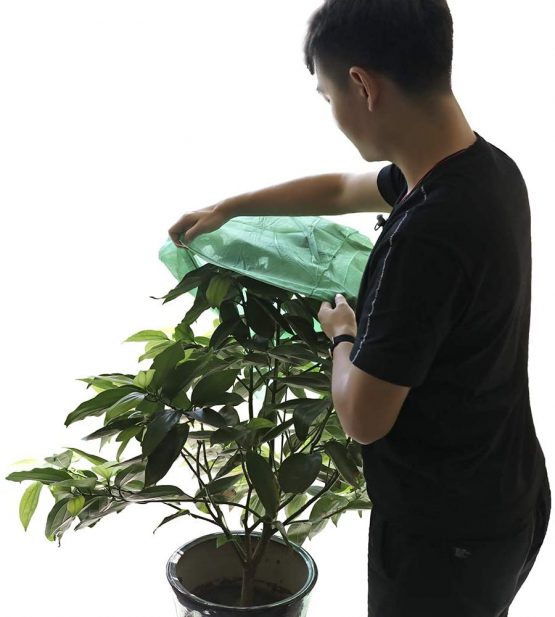JK 3 PCS Plant Protection Bags, Garden Fleece Plant Cover Warming Jackets, Winter Frost Cold Garden Greenhouse Bags - 80 x 100 cm - Image 2