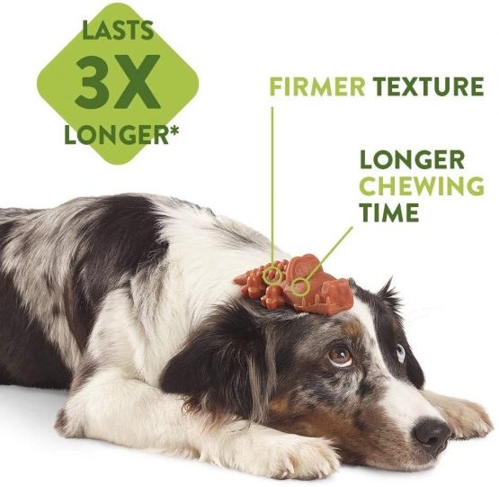 WHIMZEES Natural Dental Dog Chews Long lasting, Large Stix, 7 Pieces - Image 4