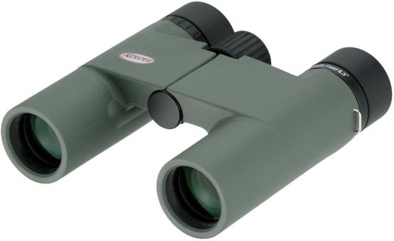Kowa 10x25 BD Series DCF Compact Binoculars