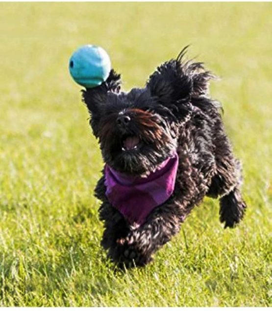 Chuckit Fetch Medley Small 3-Pack - Image 2