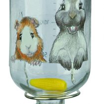 Trixie Honey and Hopper Glass Water Bottle, 250 ml