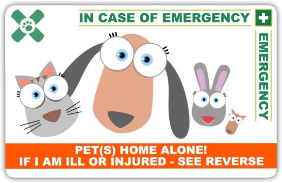 ICECARD PET Home Alone PREMIUM Card Pack - Wallet size card with WRITABLE reverse for Contact Details of Friends, Family or Neighbours who will look after you pets if you are ill or injured - Image 2