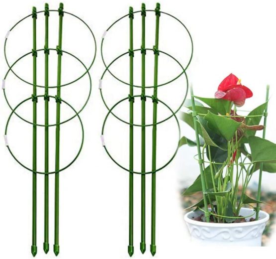 Anzmtosn Fodable Small 45cm/17.7inch Garden Plant Support with 3 Adjustable Rings for Small Climbing Vine Vegtables&Flowers&Fruit Stainless Steel Stakes Support for Garden&indoors Plants(2PCS)