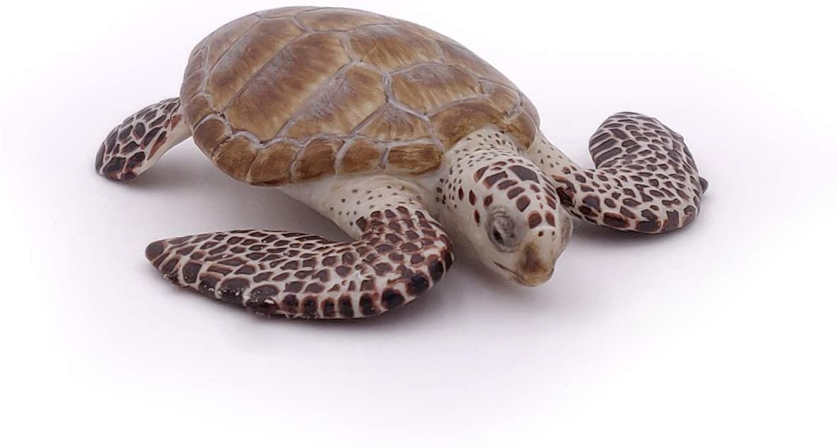 Papo, Realistic Loggerhead Sea Turtle Figure, Ages 3+, Marine Life Collection, Educational Play Marine Animals