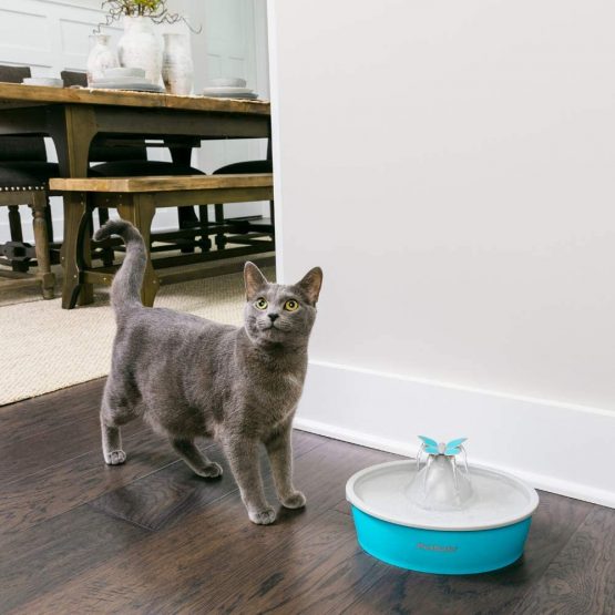 PetSafe Drinkwell Butterfly Pet Fountain - 1.5 Litre Capacity Fresh Filtered Water Dispensers for Cats and Dogs - Adjustable Flow - Filters Included - Image 3