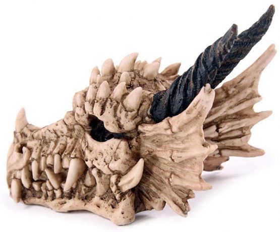 Puckator DRG186 Dragon Skull Money Box 19 x 11 x 11 cm, Mixed, Height Width 11cm Length 19cm Slot 3.5cm - Image 2