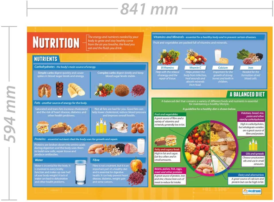 Daydream Education Nutrition, 85L x 59.4W cm - Image 2