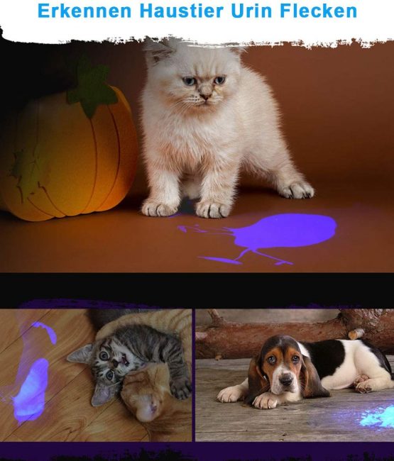UV Light Torch Black Light 100 LED,Ultraviolet Lamp Flashlight with UV Protection Glasses,395nm Led UV Flashlight,Blacklight Torch Detector for Pet Urine Stains of Carpet/Floor,Resin,Camping,Large - Image 2