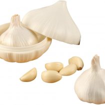 Fackelmann Garlic Storer & Saver, White