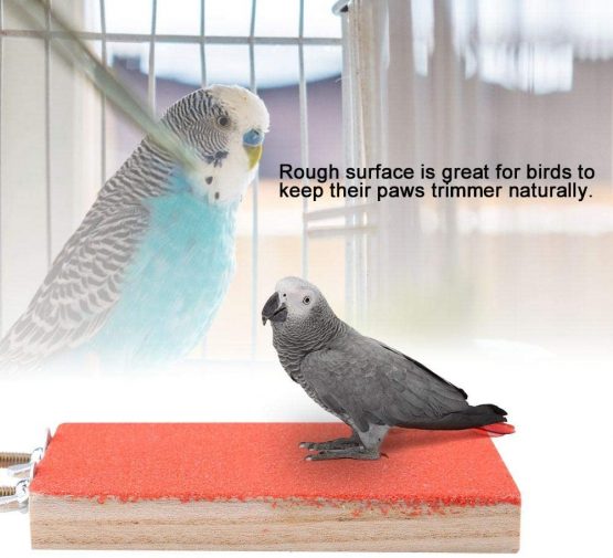 FTVOGUE Bird Perch Stand Nature Wood Platform Toy Playground Paw Grinding Clean for Pet Parrot Hamster Squirrel(01) - Image 4