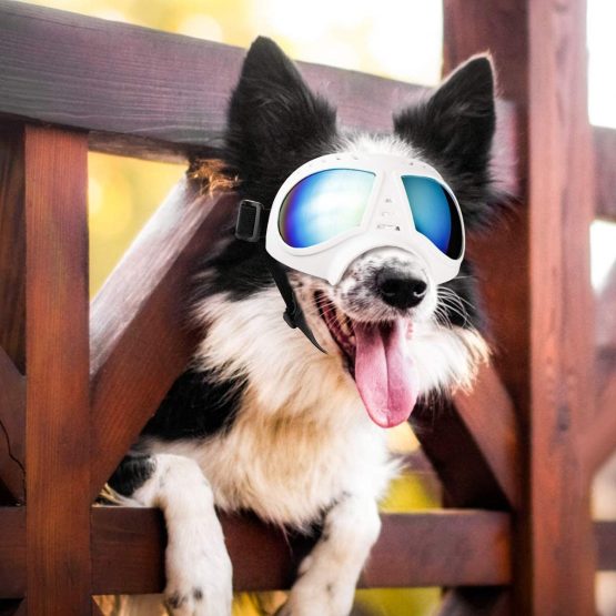 Namsan Dog Goggle UV Protection Dog Sunglasses Waterproof Windproof Adjustable Goggles for Middle/Large Dog-White - Image 2