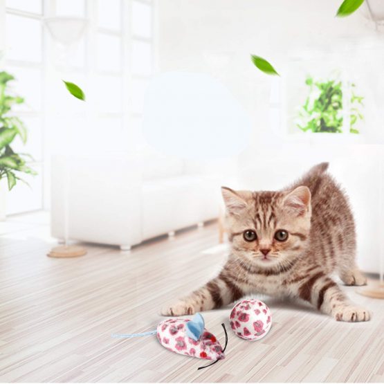 PAWISE Kitty Cat Starter Kit Includes 4 Pieces, Cat Litter Pan, Cat Litter Scooper, Cat Bowls, Cat Toy for Small Cats, 14.5x10.5 Inches, Pink - Image 4