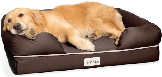 PetFusion Ultimate Solid 10cm WATERPROOF Memory Foam Dog Bed for Medium & Large Dogs (91x71x23cm orthopedic dog mattress; Chocolate). Replacement covers & blankets also avail