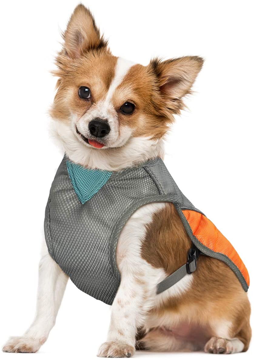 POPETPOP Dog Cooling Vest : Lightweight Dog Cooling Jacket