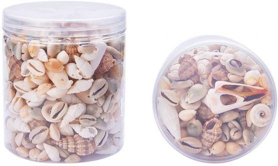 PandaHall Elite about 180pcs Trumpet Shell Beads, Dyed Natural Seashell Charms for Pendant DIY Craft Making Home Party Decoration, Mixed Shapes, Mixed Color - Image 2