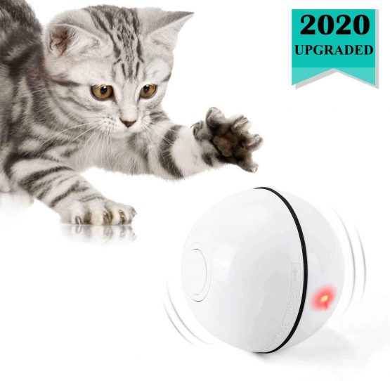 rechargeable cat toy