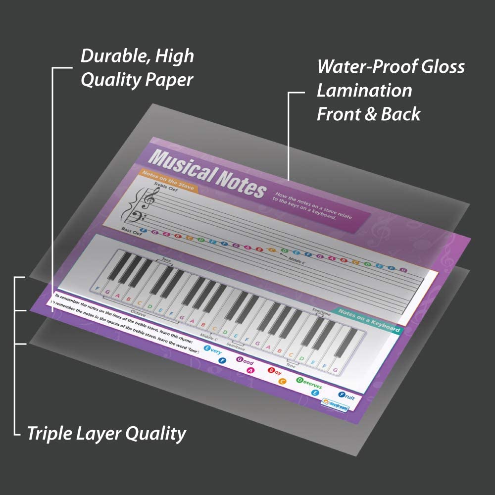 Daydream Education Musical Notes Classroom Poster - EXTRA LARGE - A1 (850mm x 594mm) - Laminated - Secondary School Music Wall Charts - Image 3