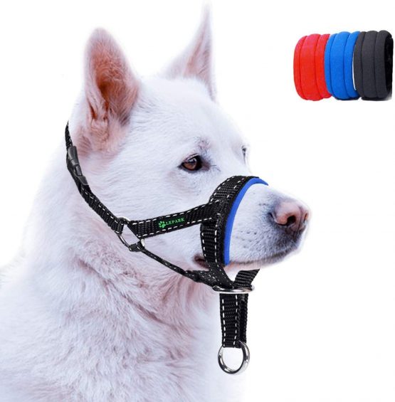 ILEPARK Dog Head Collar with Reflective Strap, Head Halter Collar for Dogs, Adjustable and Easily Control, for Small Medium and Large Dogs. (L,Blue) - Image 2