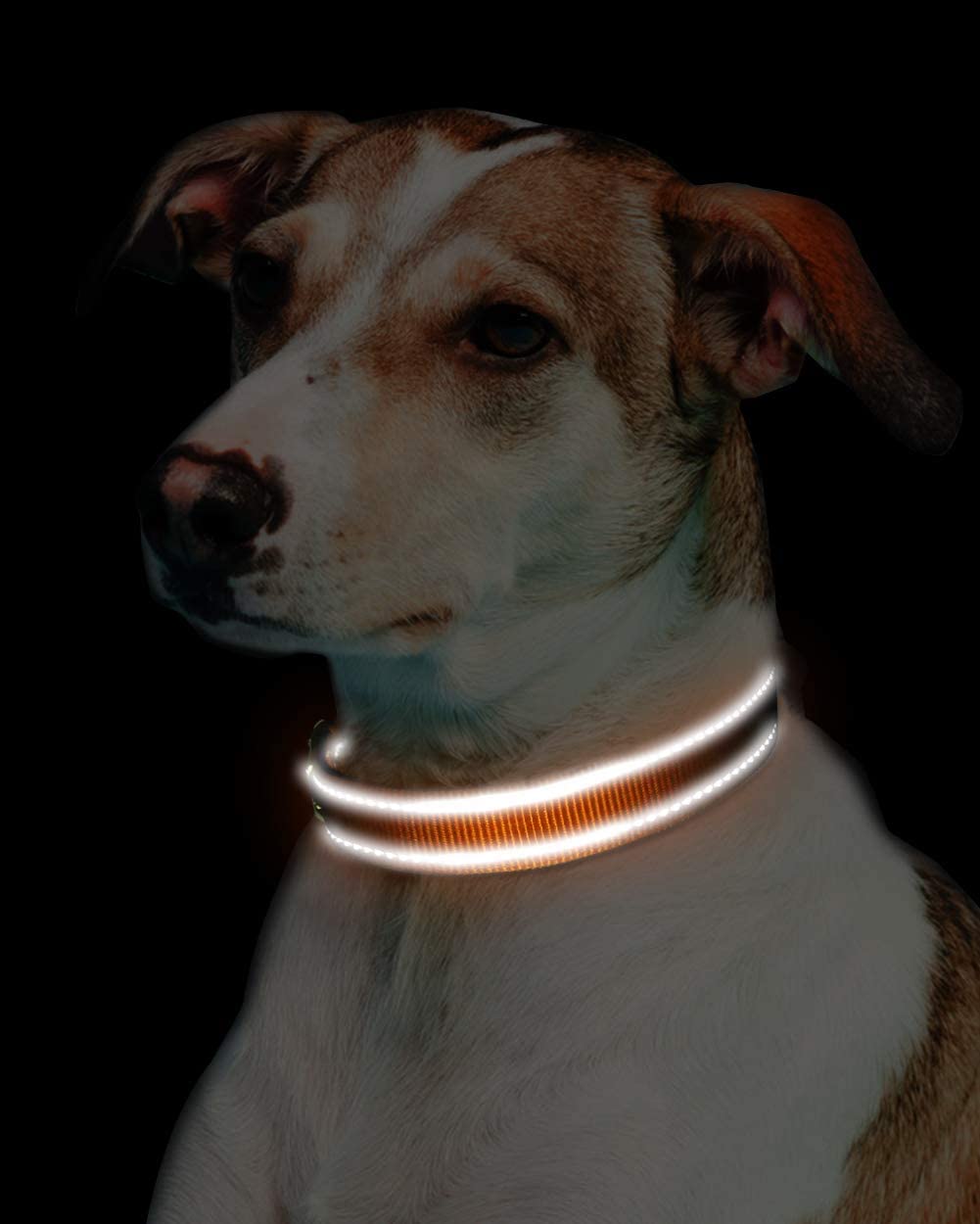 Joytale Reflective Dog Collar, Soft Neoprene Padded Breathable Nylon Pet Collar Adjustable for Extra Small and Puppy Dogs XS, Orange - Image 4