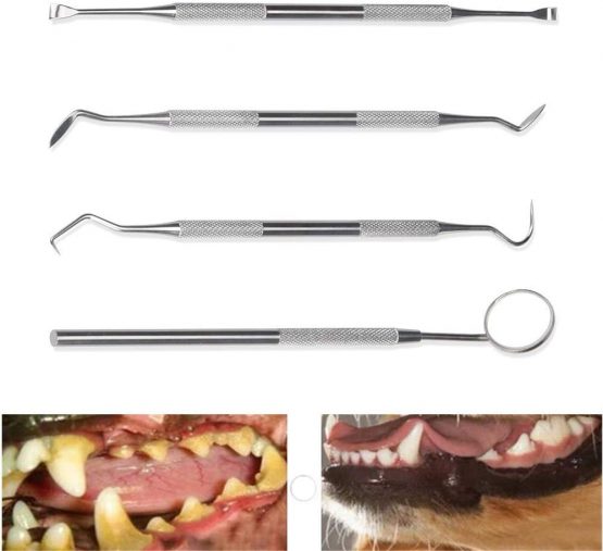 Symphonyw Calculus Remover for Dog, 4pcs Stainless Steel Tarter Remover Scraper Oral Tool Pet Dog Cat Dental Teeth Cleaning Tools (4PCS) - Image 2