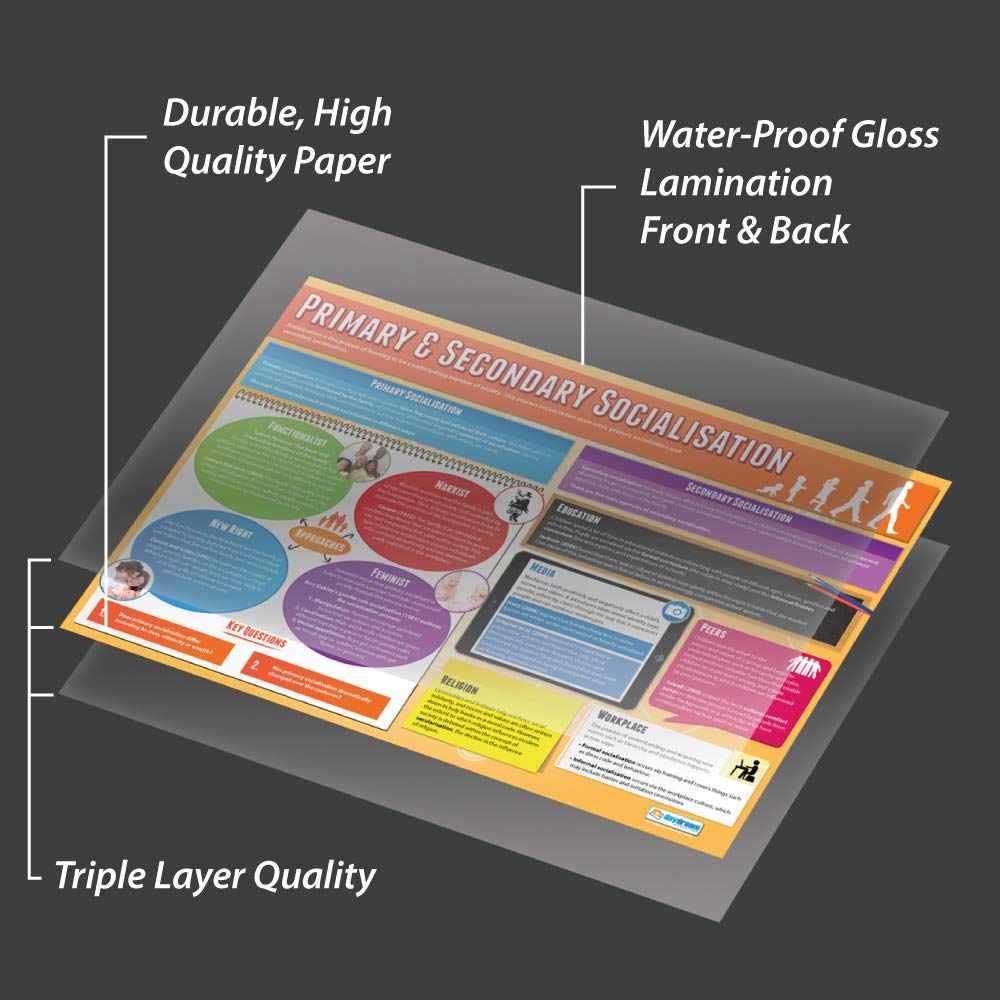 Daydream Education Primary & Secondary Socialisation, Primary and Secondary Socialisation, 85L x 59.4W cm - Image 3