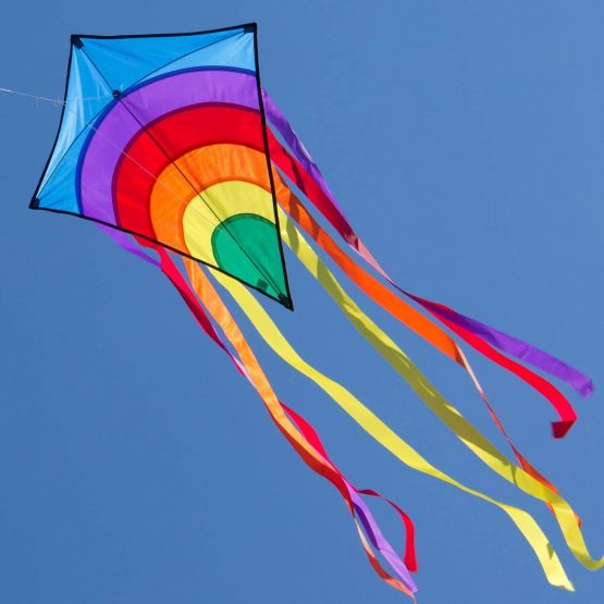 MIC CIM Kite - Rainbow Eddy – single line kite for children from the age of 3 years up - 65x74cm - incl. kite string and 8x105cm striped tails (Blue) - Image 2