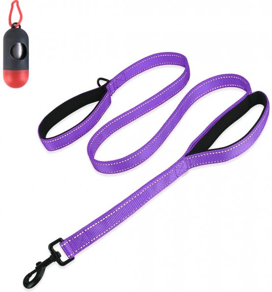 Belababy Medium Dog Leash, 5ft Double Handles Dog Lead, Heavy Duty Strong Nylon Reflective Dog Leash, 1.5m Leash Perfect for Large Medium or Small Dog