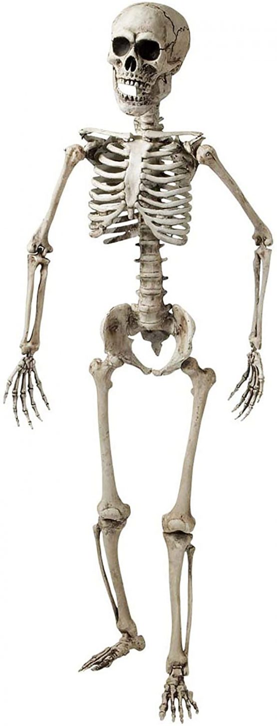 Posable Skeleton - 160cm Accessory for Halloween Living Dead Fancy Dress