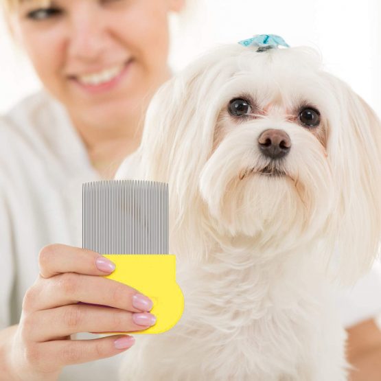 6 Pieces Flea Comb for Cats Dogs Lice Combs Fine Tooth Comb Grooming Set Remove Float Hair Tear Marks Tick Removal Tool - Image 2