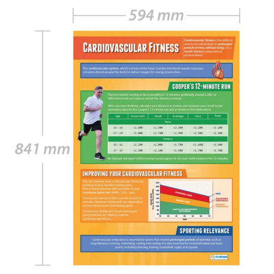 Cardiovascular Fitness | PE Posters | Laminated Gloss Paper measuring 850mm x 594mm (A1) | Physical Education Charts for the Classroom | Education Charts by Daydream Education - Image 2