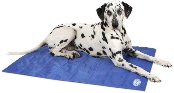 Scruffs Self-Cooling Mat (L) Blue