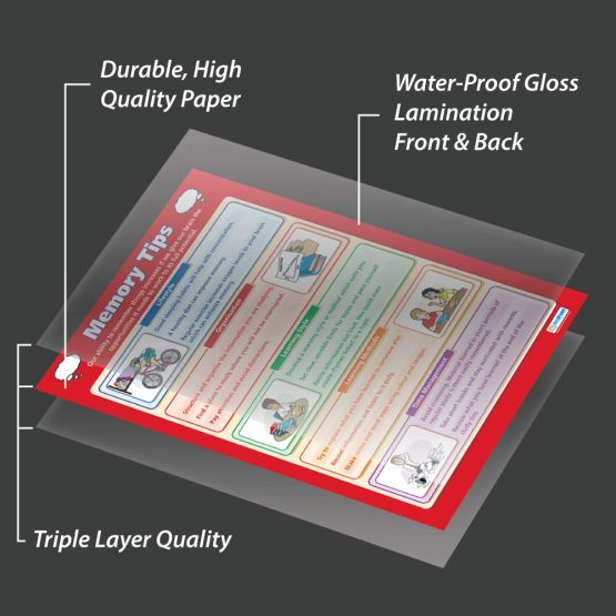 Memory Tips | Life Skills Posters | Laminated Gloss Paper measuring 850mm x 594mm (A1) | Functional Skills Classroom Posters | Education Charts by Daydream Education - Image 3