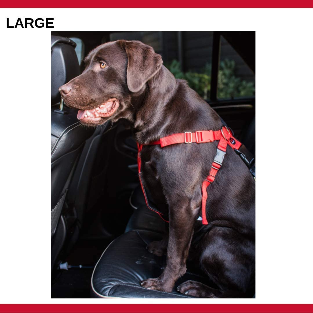 Mikki Dog, Puppy Car Harness - Seatbelt Car Restraint - for Dogs Travelling in Cars - Large, Black - Image 2