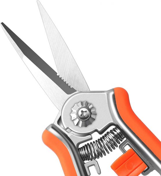 FLORA GUARD Micro-Tip Pruning Snip, 6.5 Inch Secateurs with Soft-Touch Handle, Pruning Shears, Stainless Steel (Orange) - Image 3