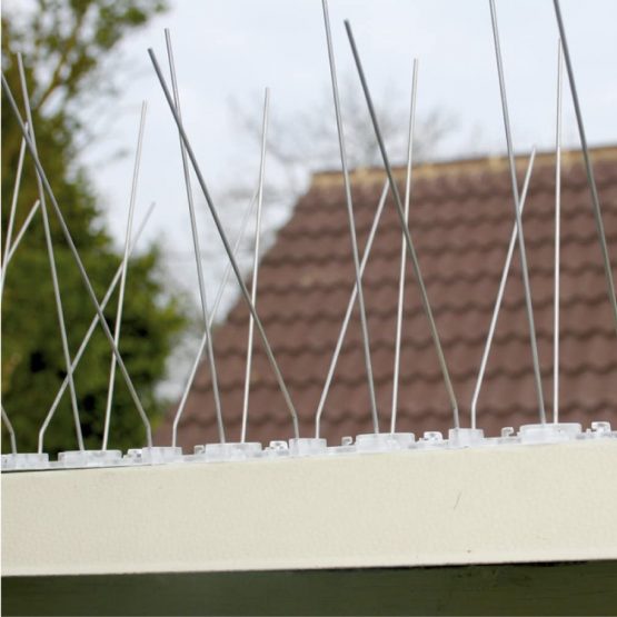 Pest-Stop PSPBS10 Professional Bird Spikes - 10 Pack - 5 metres - Image 4