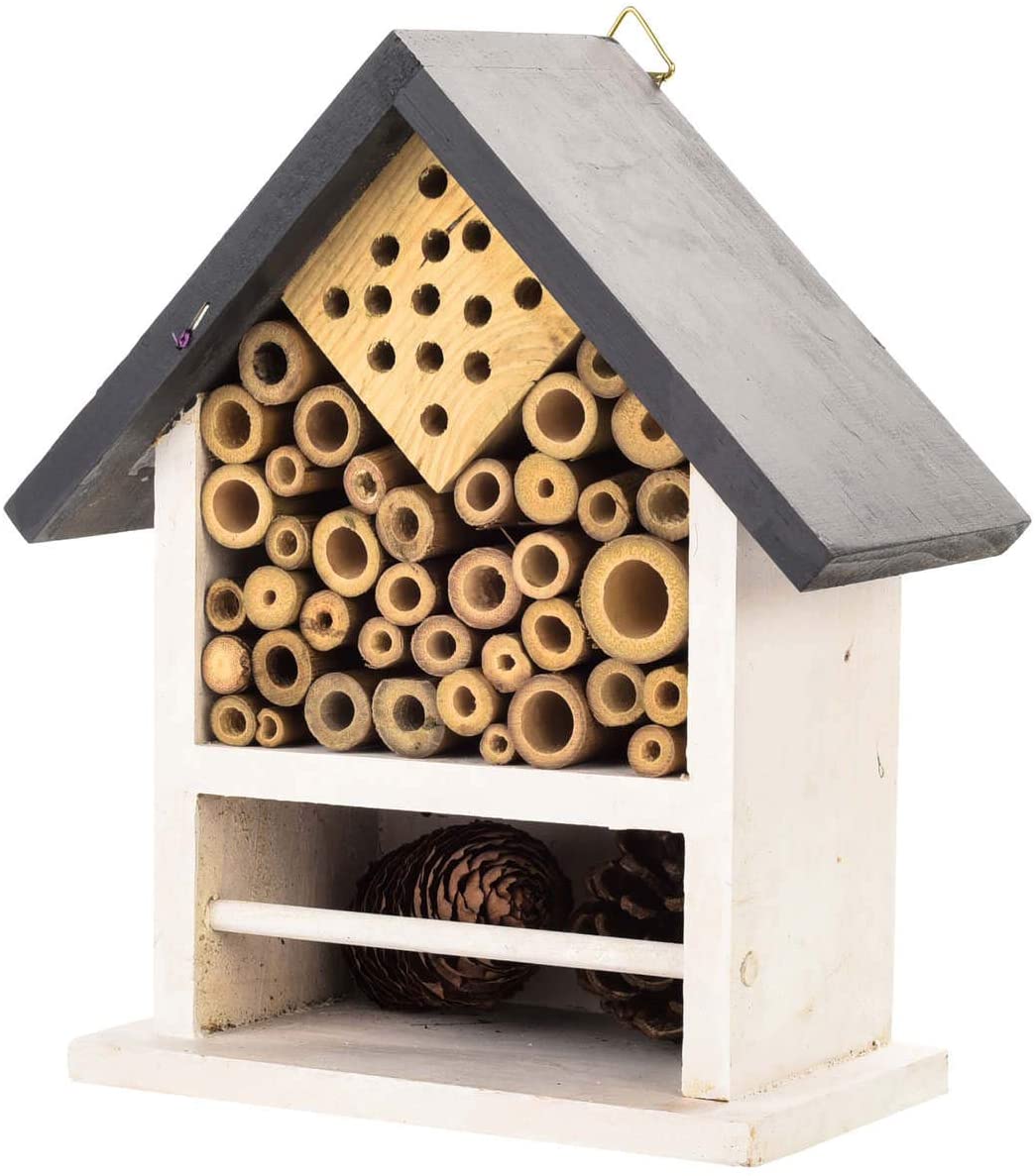 Wooden Bee, Ladybirds and Insects Bug House and Nesting box, Multicolor - Image 2