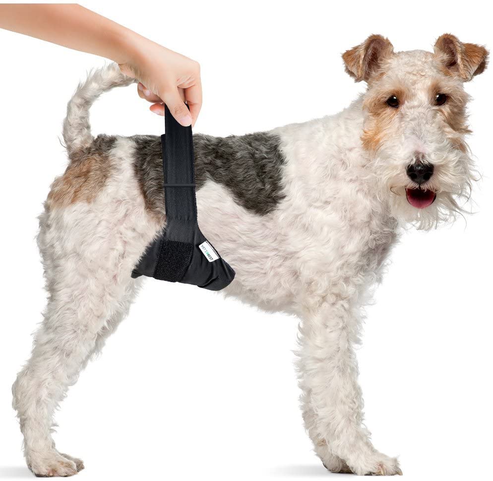 Vet's Best Washable Dog Diapers, Absorbent Wraps with Leak Protection,Excitable Urination, Incontinence, or Marking 1 x Diaper - Image 3
