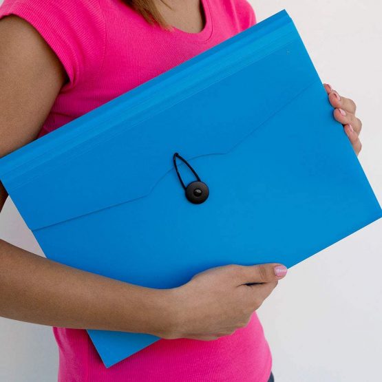 D | Expandable Expanding File | Document Organiser | Folders Expander for School - Office - Home | Expanding File Folders | Pockets Filing Box | 12 Compartments | Size: A4 | Colour: Blue 110390 - Image 3