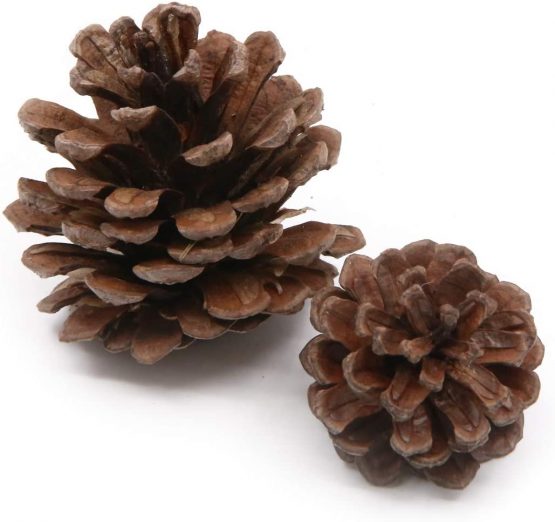 Gino Total 120 Pcs Artificial Acorns and Natural Pinecones Ornament Set for Home House Christmas Decoration Photo props - Image 2